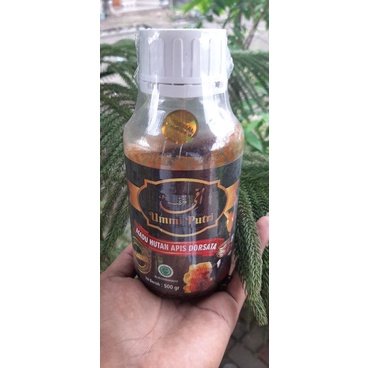 

madu ummi putri