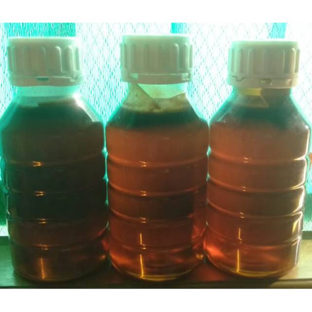 

Madu mentah hutan asli raw honey netto 700gram