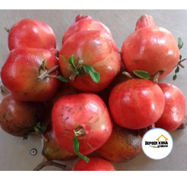 

Y-IHT 〔☛ Buah delima merah segar spanyol mini satuan biji lunak