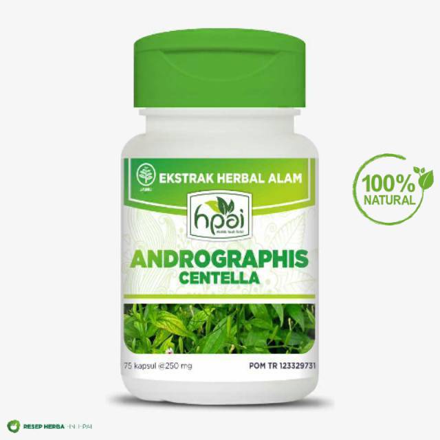 [DISKON] Andrographis Centella HNI HPAI Produk Berkualitas herbal alami