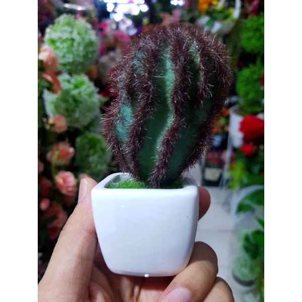 jual kaktus replika pot keramik - skulen - kaktus palsu - sukulen palsu - kaktus mini