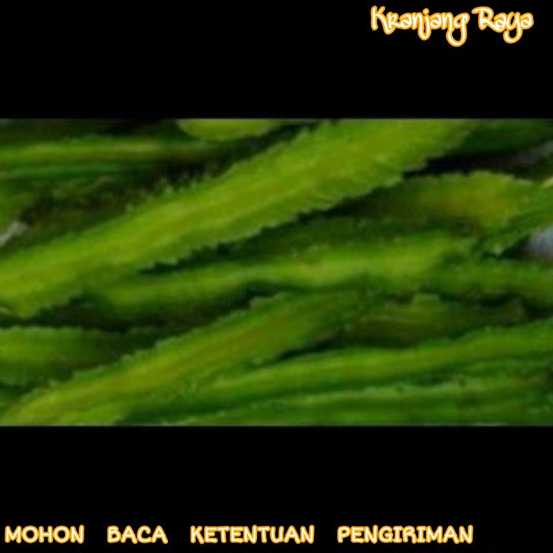 

Kecipir