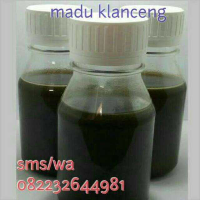 

Madu klanceng / madu lanceng