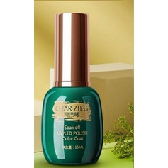 CHARZIEG GEL POLISH 9D 15ml SILVER CAT EYE GEL POLISH KUTEK GEL SILVER CATEYES GEL 15ML TAHAN LAMA