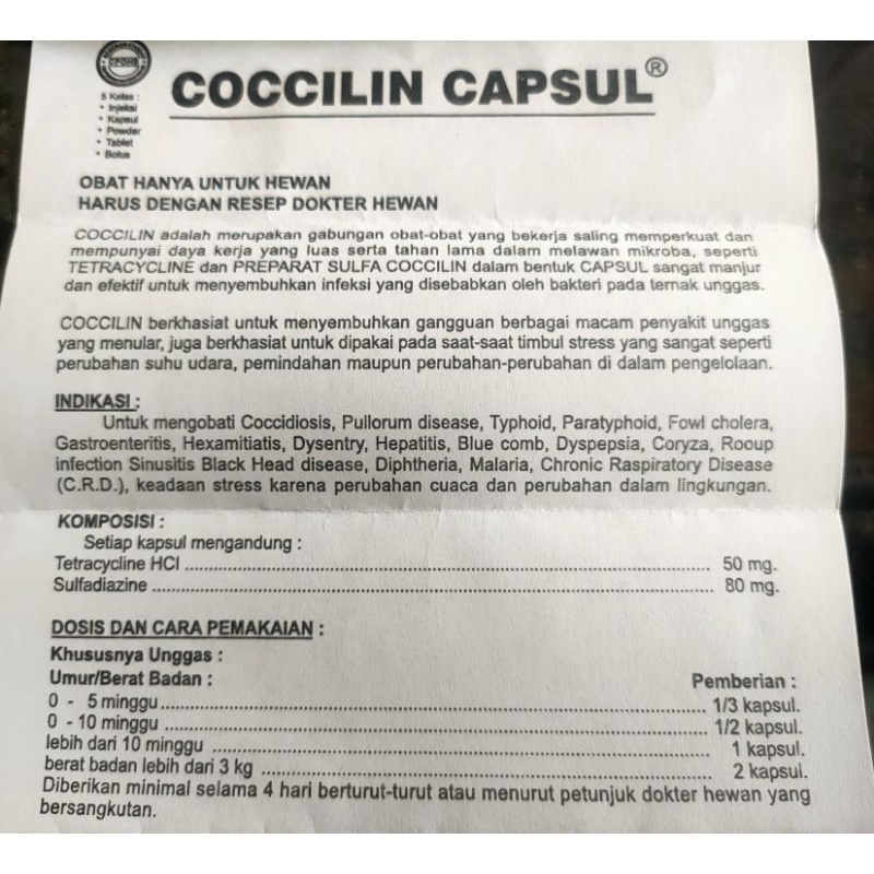 coccilin kapsul isi 10 buat unggas ayam-wonder