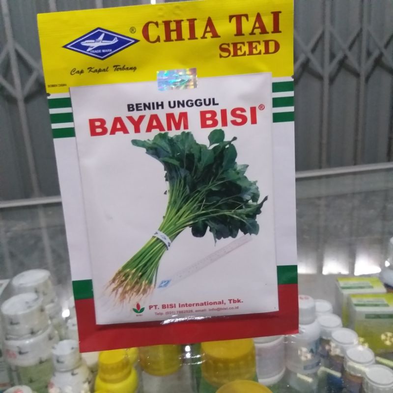 Benih bayam bisi bayam loli