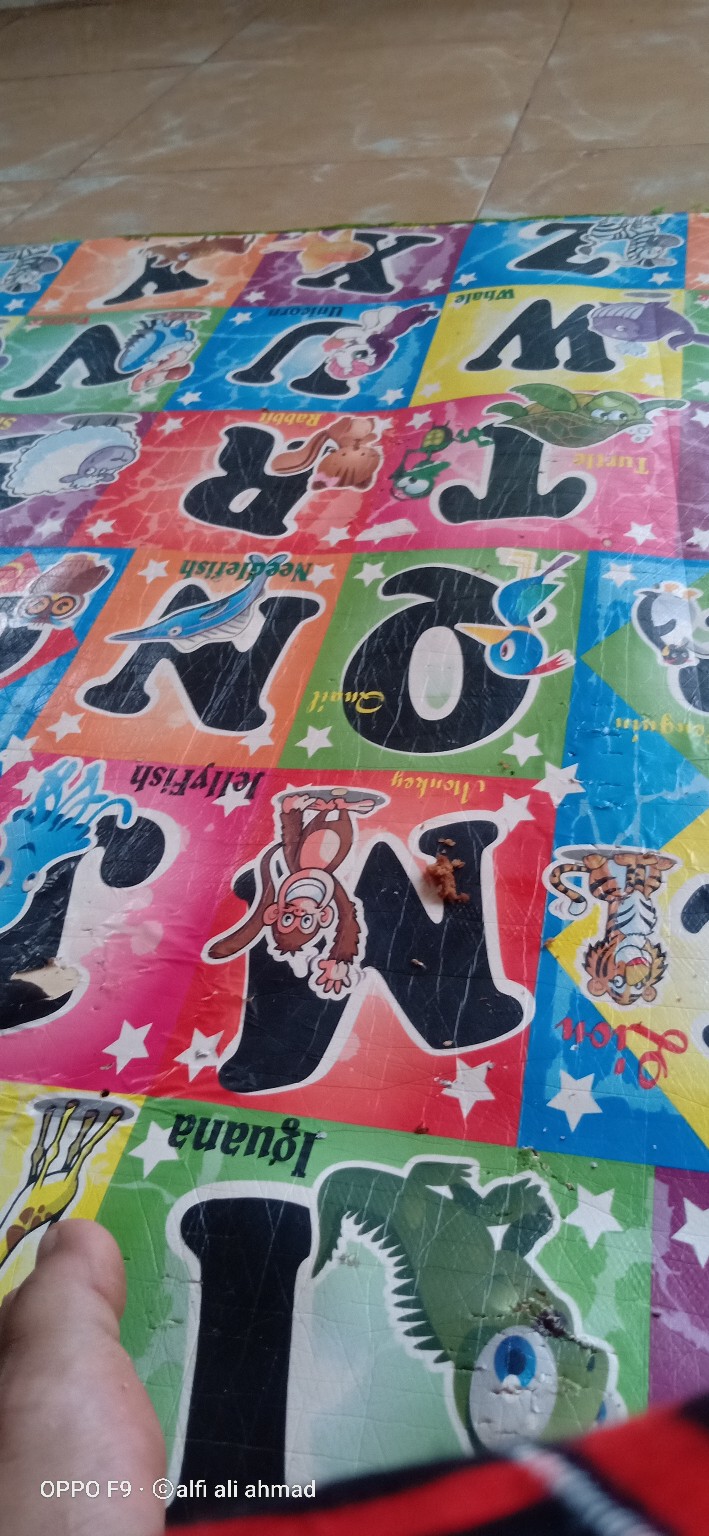 Alat Semprot Tanaman / Hama 8 Liter Mist8 Sprayer Tasco