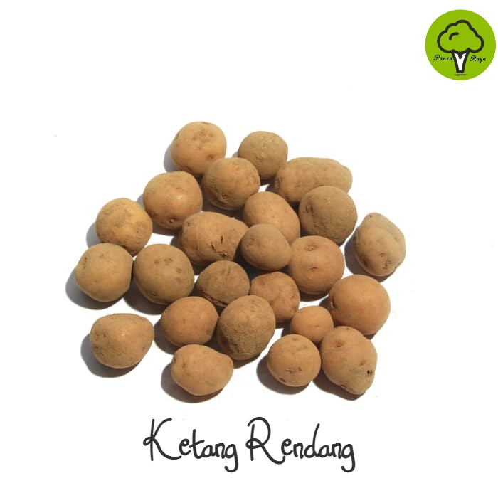 

SAYURAN / KENTANG RENDANG / BABY POTATO [1KG]