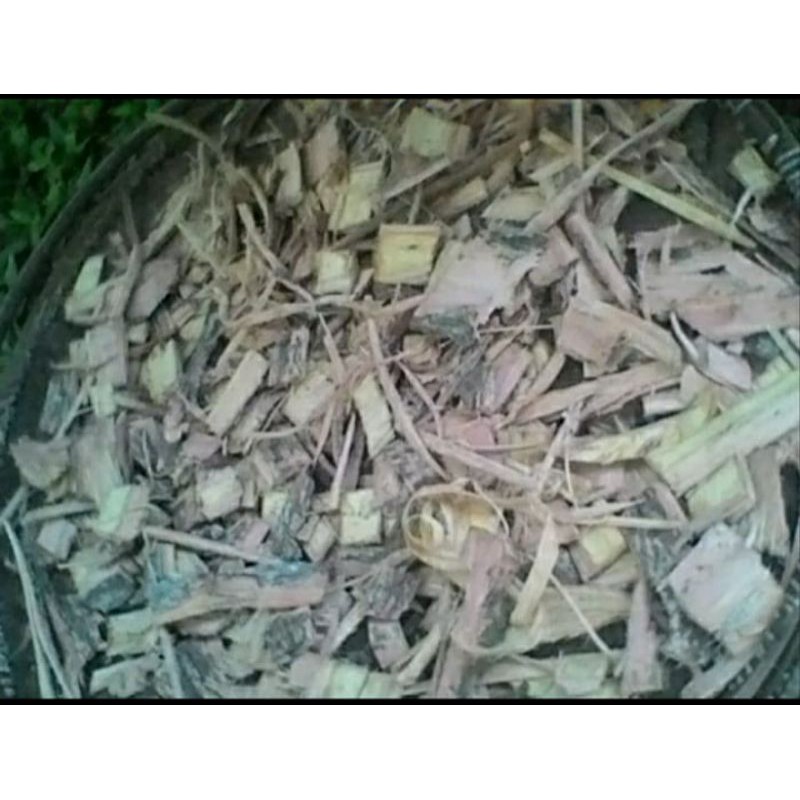 

Kulit pohon Akasia/Acacia mangium 500gr