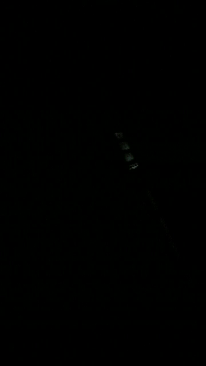 Bagus Para Kamper 3pack 150gr X3 Triple Pack