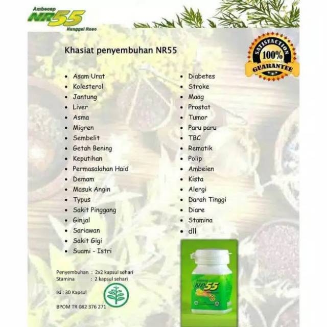 Ambecap nr 55 isi 30 kapsul obat herbal alami original nunggal roso nr55-5