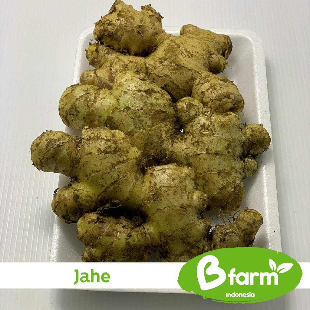 

Jahe 250 Gr (Area Bandung & Cimahi only) - Sayur Rumahan