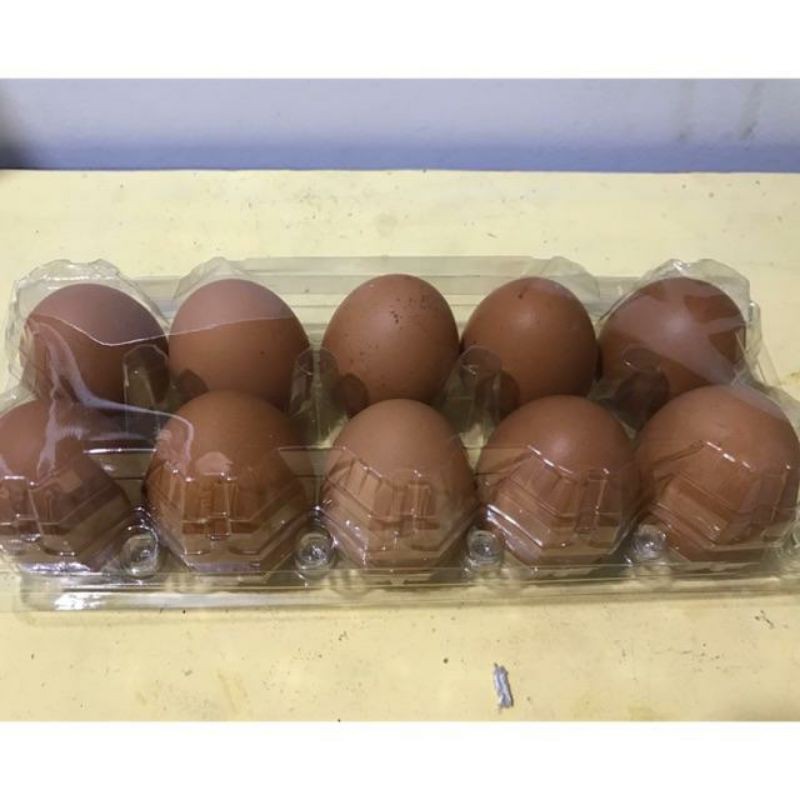 

Paket Telur Persediaan Rumah isi 10