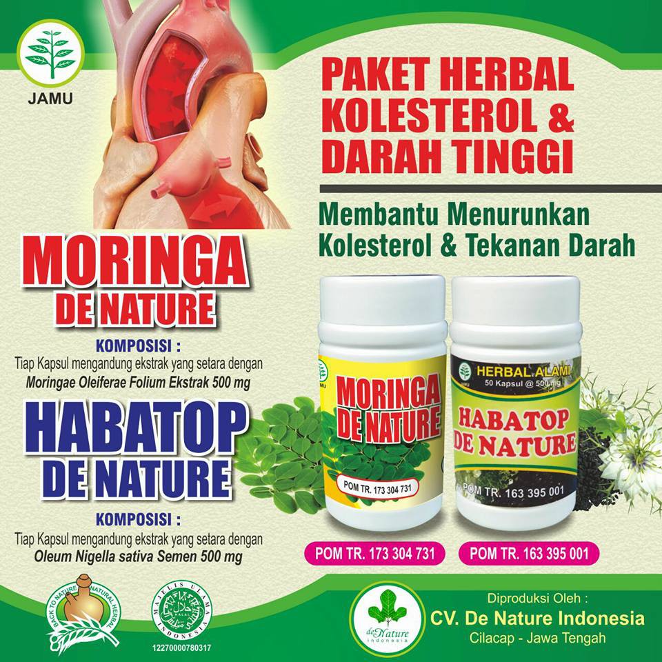 Ekstrak Obat Hipertensi Darah Tinggi Penurun Kolesterol Kolestrol Shopee Indonesia