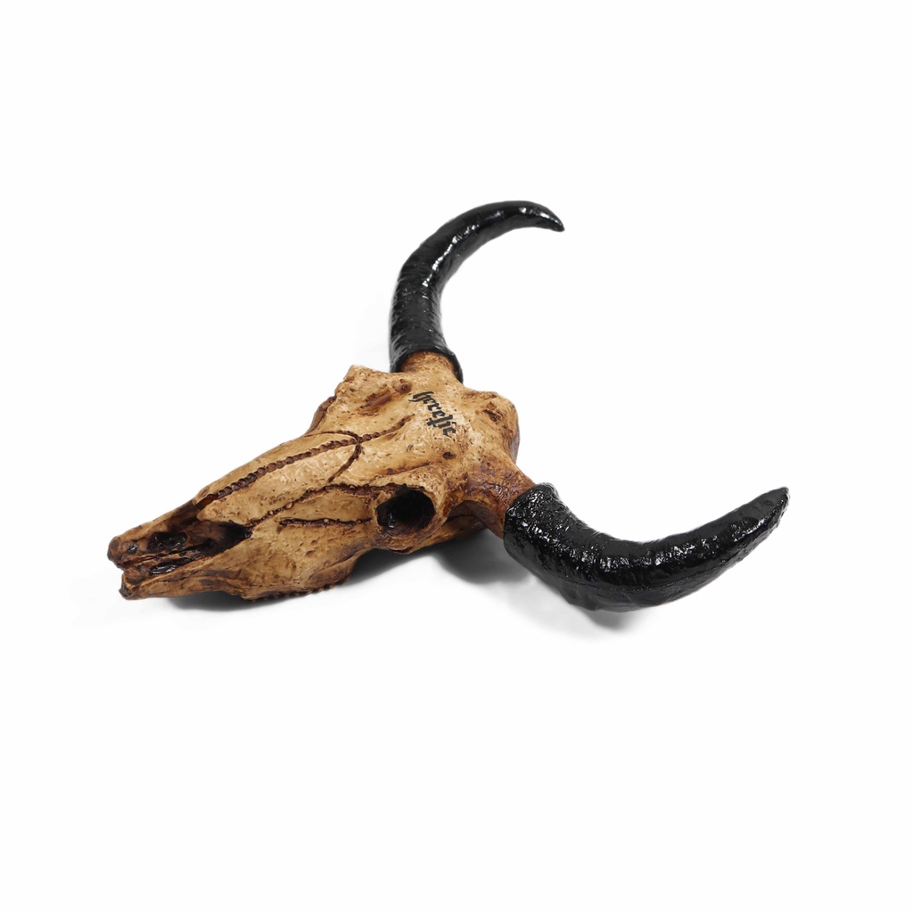 Heretic - Wall Hanging Decor - Ox Skull