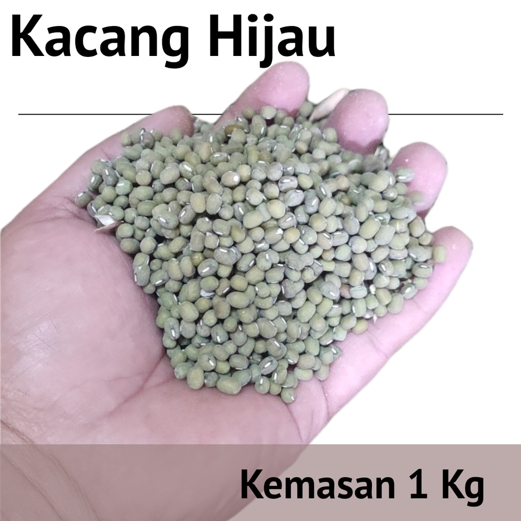 

Kacang Hijau - Kacang Ijo - Bahan untuk bubur, sari kacang ijau, peyek, dll kemasan 1 Kg