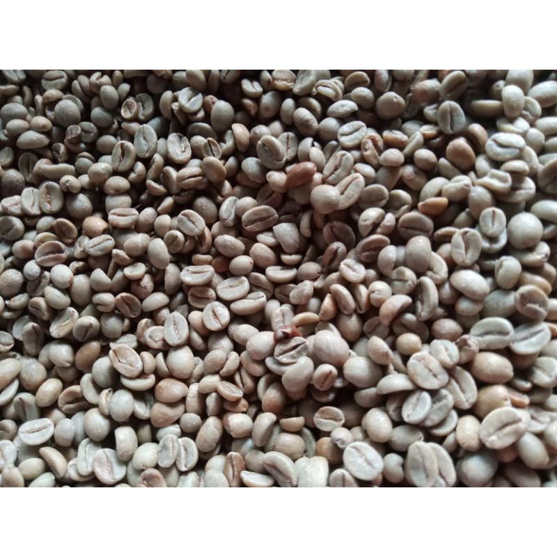 

Natural Arabika sindoro,Arabika Temanggung