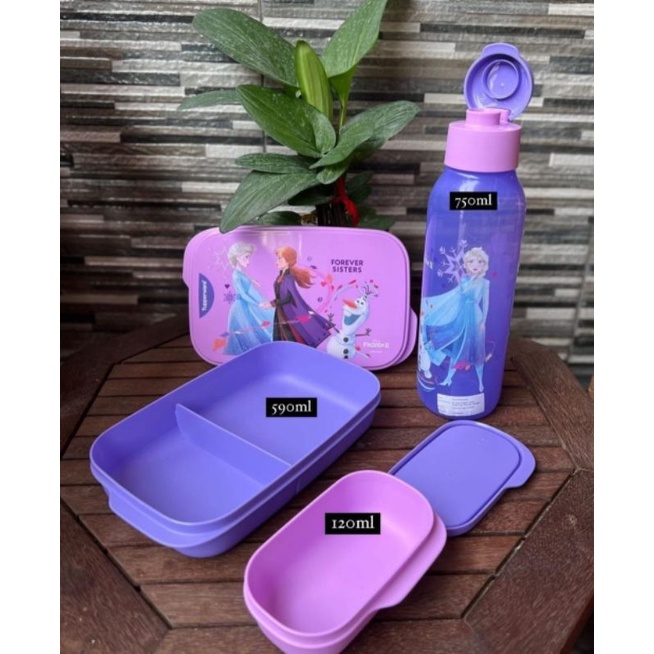 frozen lunch set tupperware