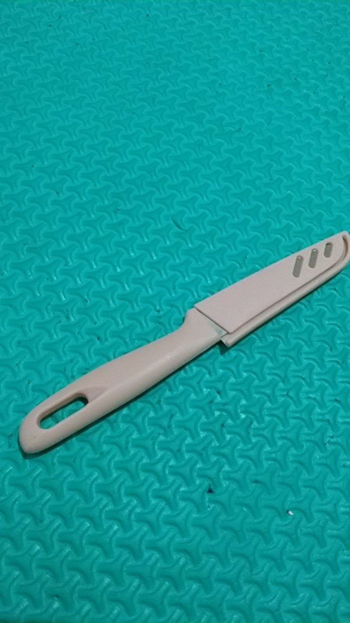 Pisau Kecil Dapur Dengan Pelindung Yzf62