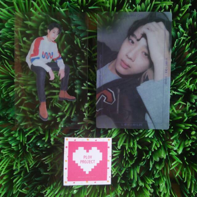 Photocard Guanlin NWY Nothing Without You