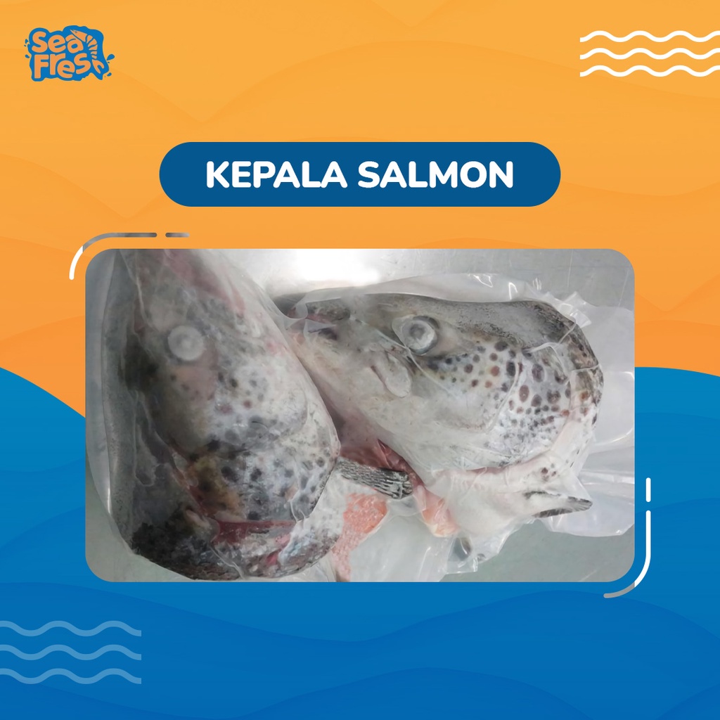 

Kepala Salmon 1 Kg