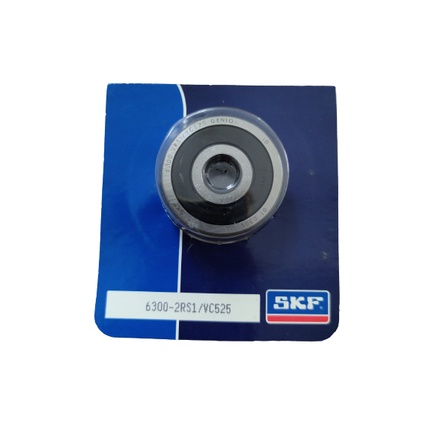 Laker Bearing 6300 2RS SKF GENIO