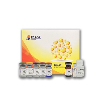 Bone Morphogenetic Protein 2, BMP-2 ELISA Kit