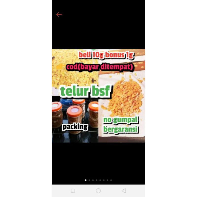 

Telor
