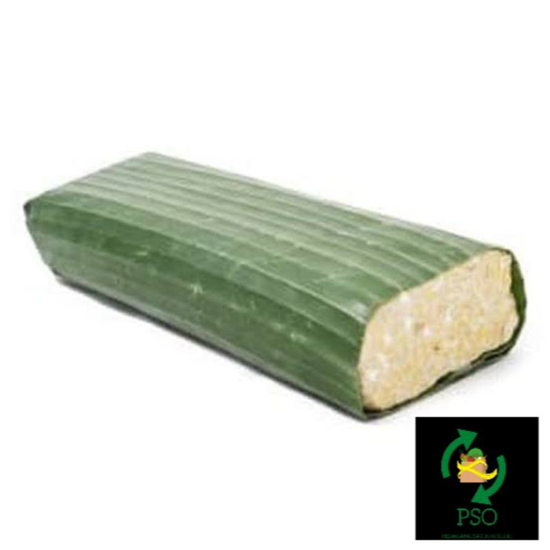 

TEMPE/PCS(PAPAN)