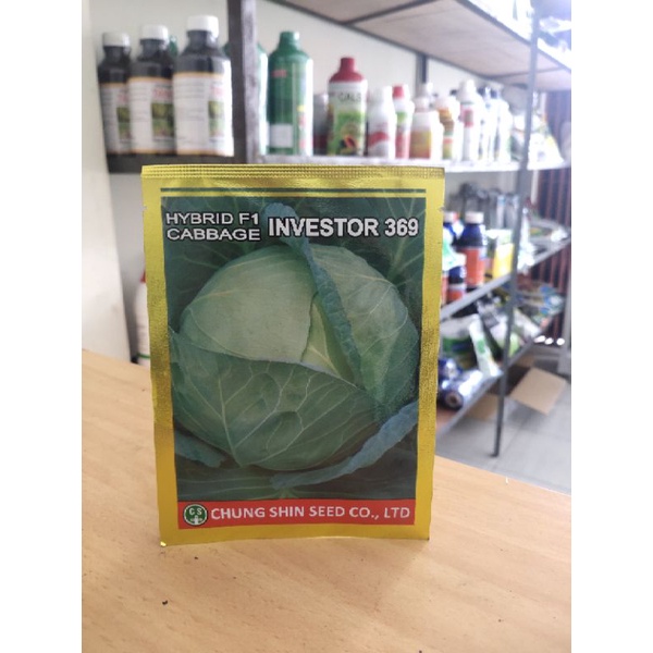 benih kubis investor