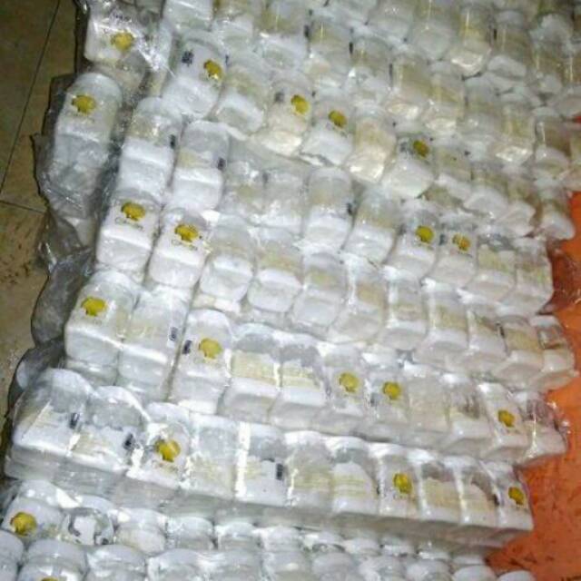 Bibit Pemutih Collagen