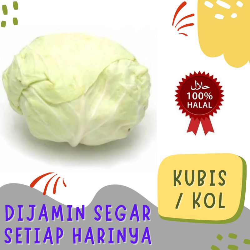 

Kubis Kol Segar 1000gr 1kg Dari Lumajang