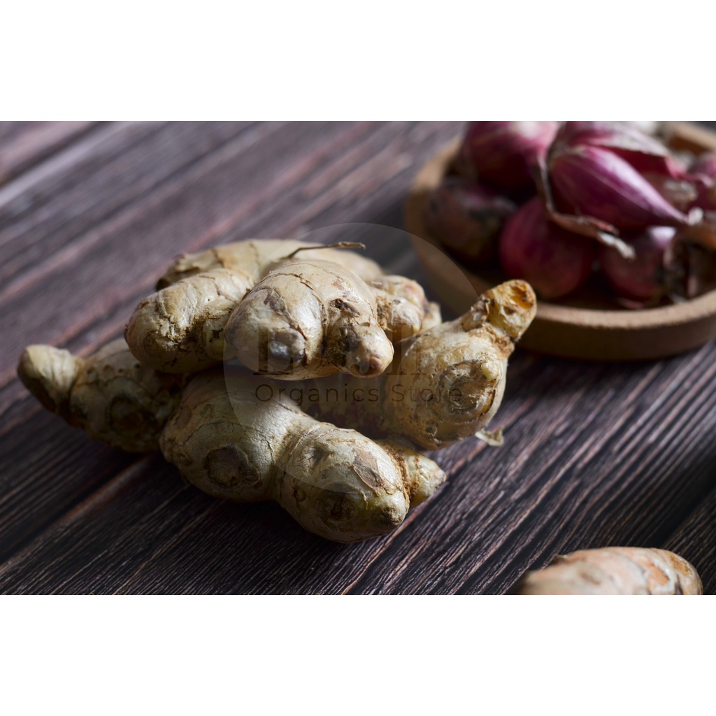 

Jahe Gajah Organik - Lojin Organic Store