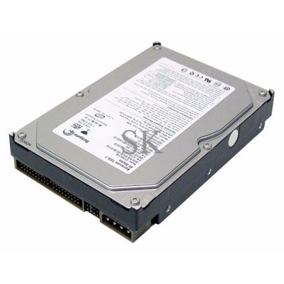 Harddisk 80 Gb ATA / IDE SK
