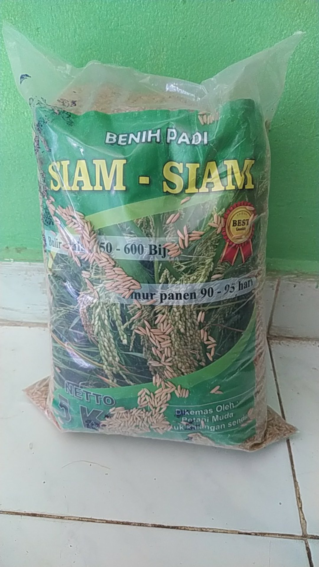 Benih Padi Siam - Siam Bibit Unggul