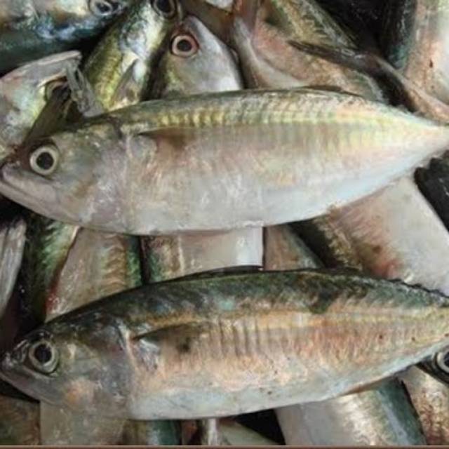 

Ikan Kembung Banjar