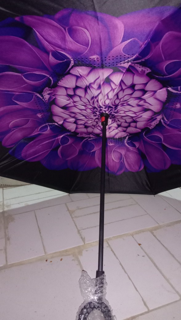 Termurah - Payung Terbalik Kazbrella / Peralatan Hujan