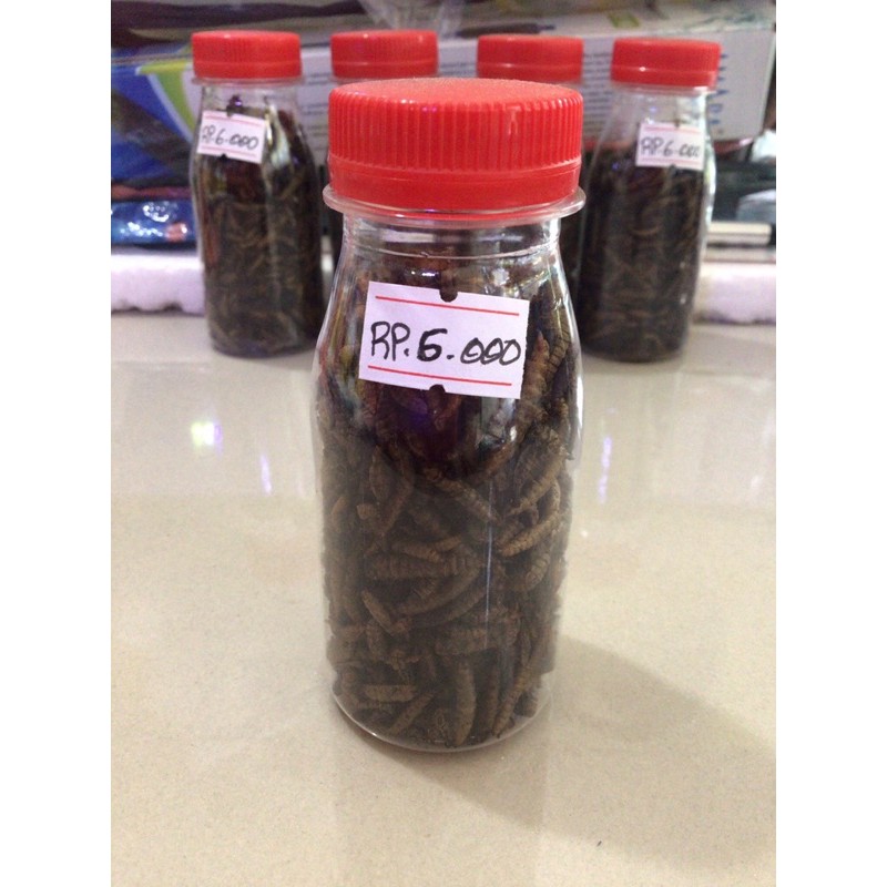 makanan ikan ulat magot bsf kering 20gr