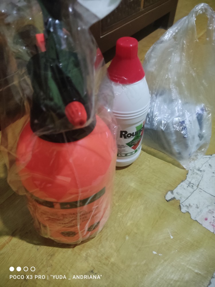 Petrokum 100 Gr Racun Tikus Mati Kering Tidak Bau