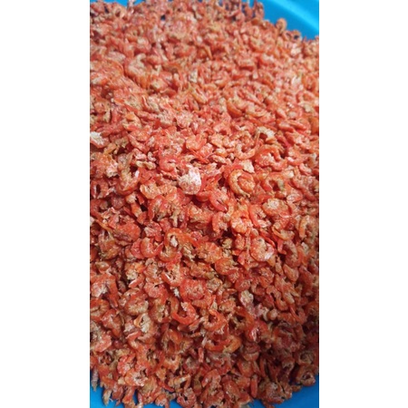 

HEBI , EBI KALIMANTAN 250gr , UDANG KERING KALIMANTAN TIDAK TERLALU ASIN , SINNAMHA , EBI SINAM