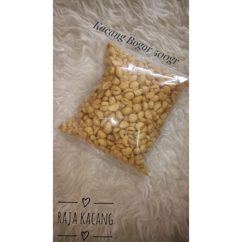 

Kacang bogor