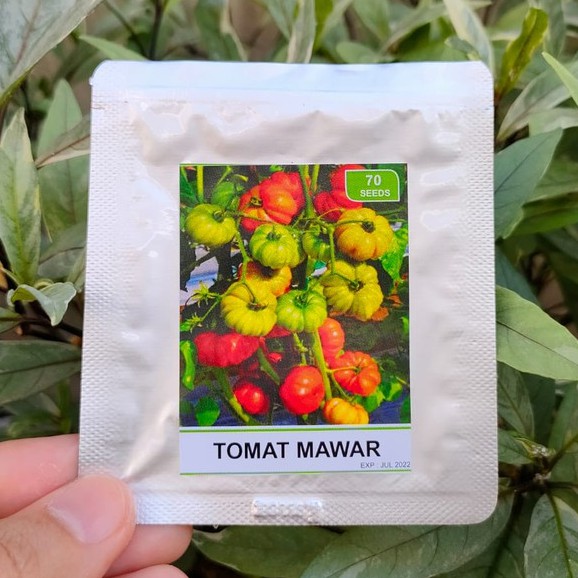 benih sayur - benih buah - benih sayuran - benih tomat - benih cabe - benih selada - benih bayam - benih terong - benih pakchoy -RS-Tomat mawar