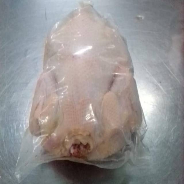 

AYAM HIGIENIS BESAR KUALITAS TINGGI