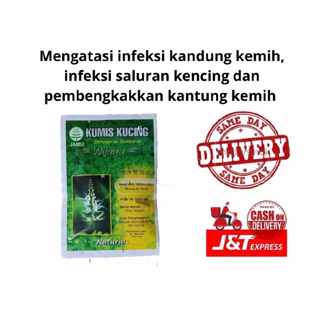 Jamu Kumis Kucing Wijaya