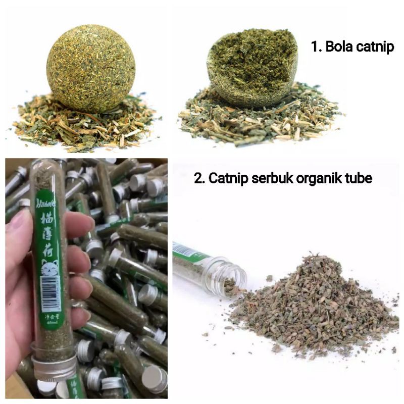 Bola catnip mint dan Catnip serbuk organik Hahale tube