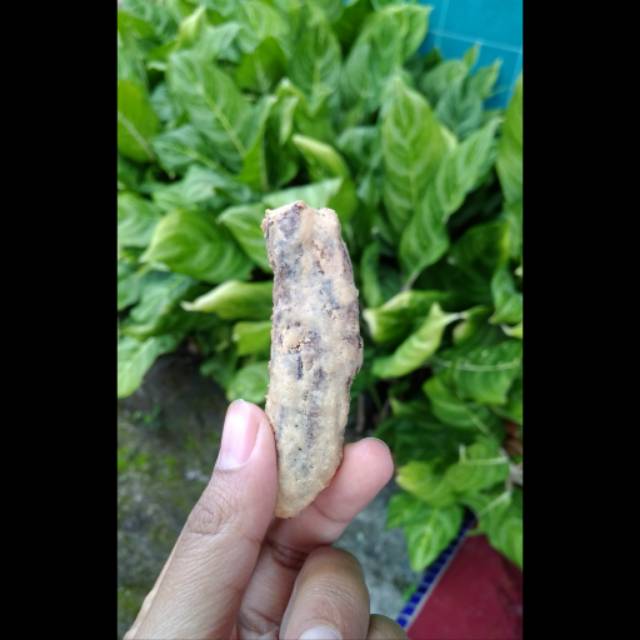 

Gooku 28 Store [1000 Gr] Pisang Barlin Premium Khas Banyuwangi Free Extra Packing Bubble Wrap