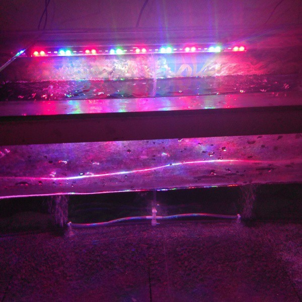 KIYOSAKI KY KLC T4 600 Lampu LED CELUP aquarium aquascape 3x ganti warna