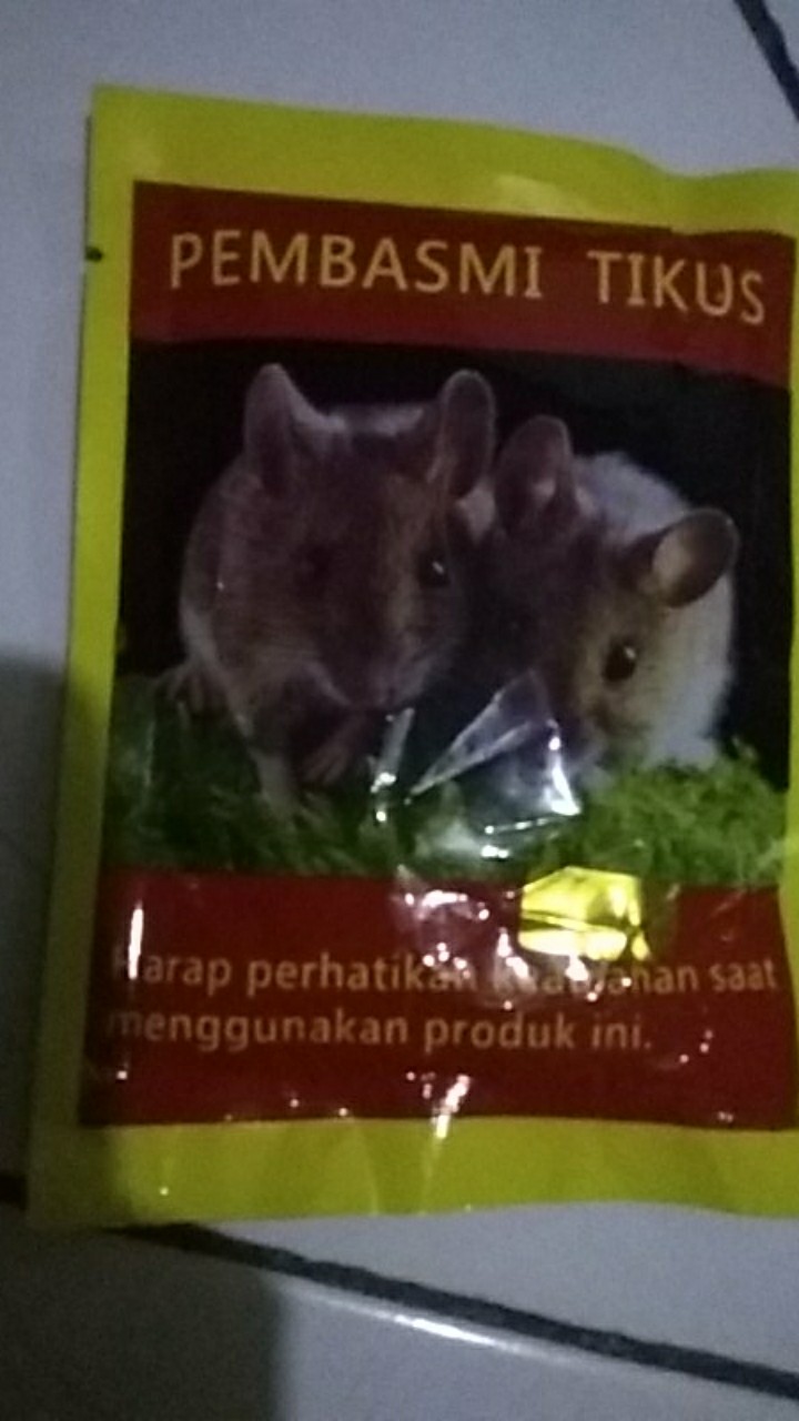 Pembasmi Tikus Ampuh Racun Tikus Original