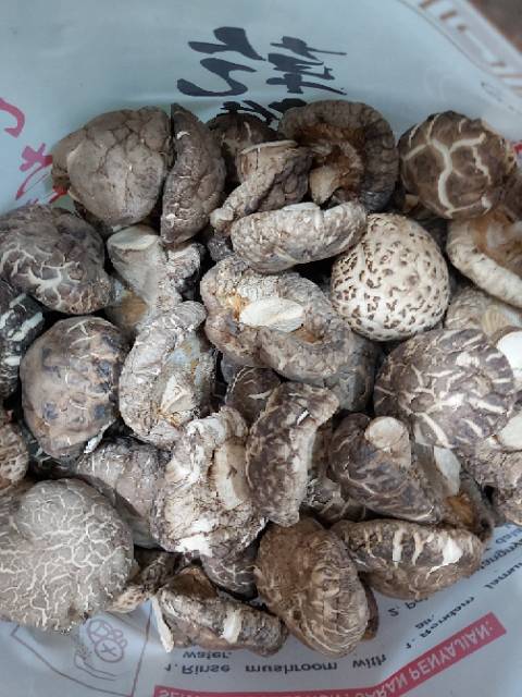 Jamur Shitake Kering / Dried Mushroom 100gram