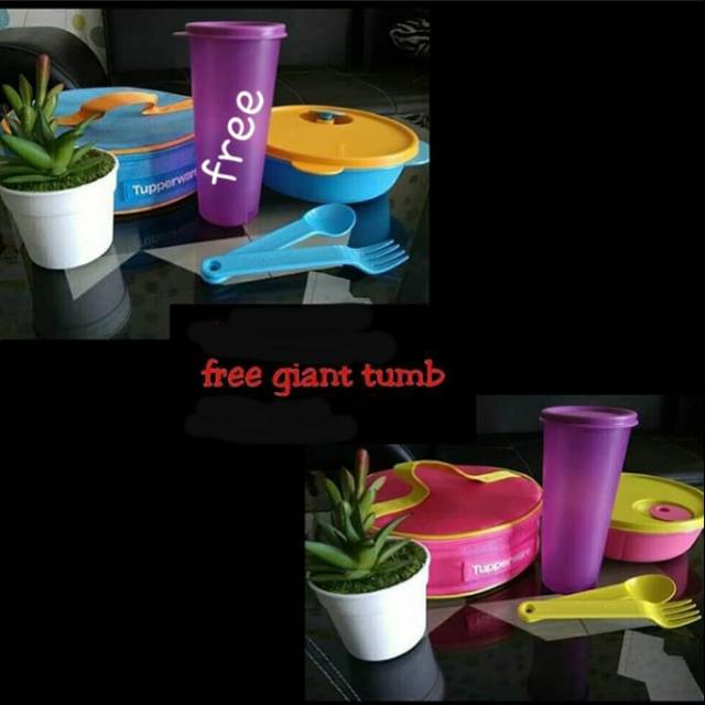 Tupperware CWL + free tumbler (BIRU)